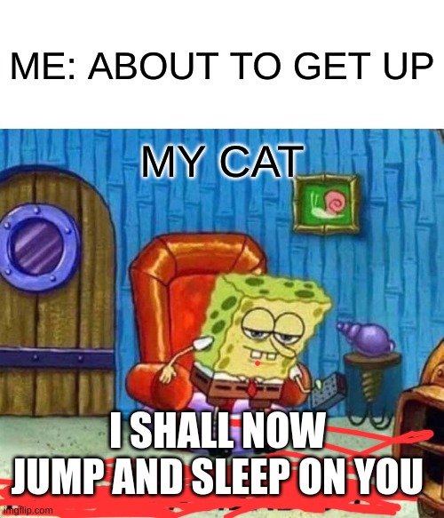Spongebob Ight Imma Head Out | ME: ABOUT TO GET UP; MY CAT; I SHALL NOW JUMP AND SLEEP ON YOU | image tagged in memes,spongebob ight imma head out | made w/ Imgflip meme maker