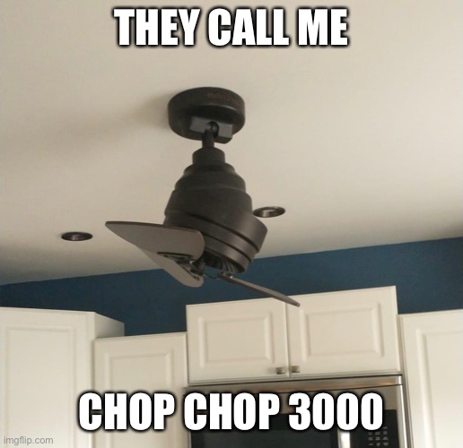 Chop chop 3K | THEY CALL ME; CHOP CHOP 3000 | image tagged in chop chop | made w/ Imgflip meme maker