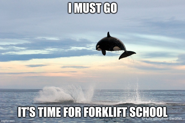 I Must Go | I MUST GO; IT'S TIME FOR FORKLIFT SCHOOL | image tagged in flying orca,i must go,forklift,forklift school | made w/ Imgflip meme maker