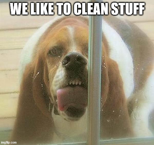 dog licking window | WE LIKE TO CLEAN STUFF | image tagged in dog licking window | made w/ Imgflip meme maker