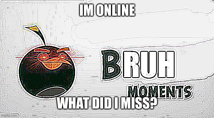 Bruh Moments | IM ONLINE; WHAT DID I MISS? | image tagged in bruh moments | made w/ Imgflip meme maker
