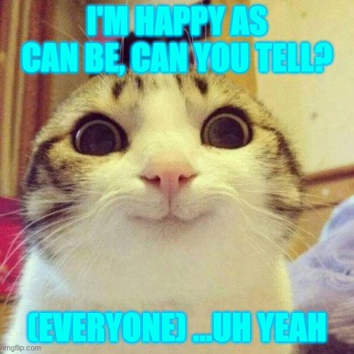 Smiling Cat Meme | I'M HAPPY AS CAN BE, CAN YOU TELL? (EVERYONE) ...UH YEAH | image tagged in memes,smiling cat | made w/ Imgflip meme maker