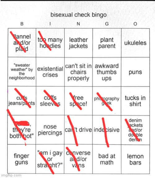 I did a 2nd one....dont judge me | image tagged in bi bingo | made w/ Imgflip meme maker