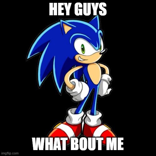 You're Too Slow Sonic Meme | HEY GUYS WHAT BOUT ME | image tagged in memes,you're too slow sonic | made w/ Imgflip meme maker