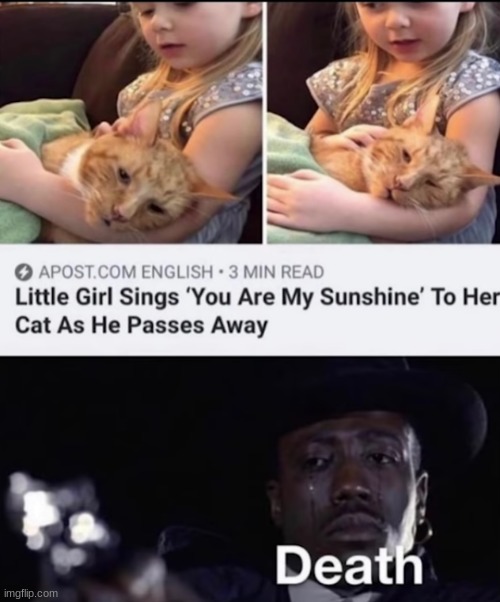 Reading this article made me tear up so much like holy fudge | image tagged in sad,you are my sunshine,little girl,sad cat | made w/ Imgflip meme maker