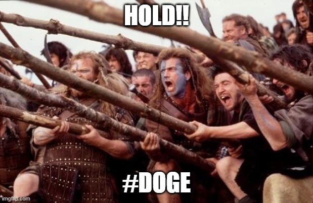 Braveheart hold | HOLD!! #DOGE | image tagged in braveheart hold | made w/ Imgflip meme maker