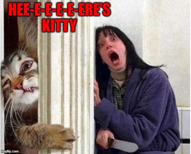 Where's the treats! | HEE-E-E-E-E-ERE'S KITTY | image tagged in cats,the shining,animals | made w/ Imgflip meme maker