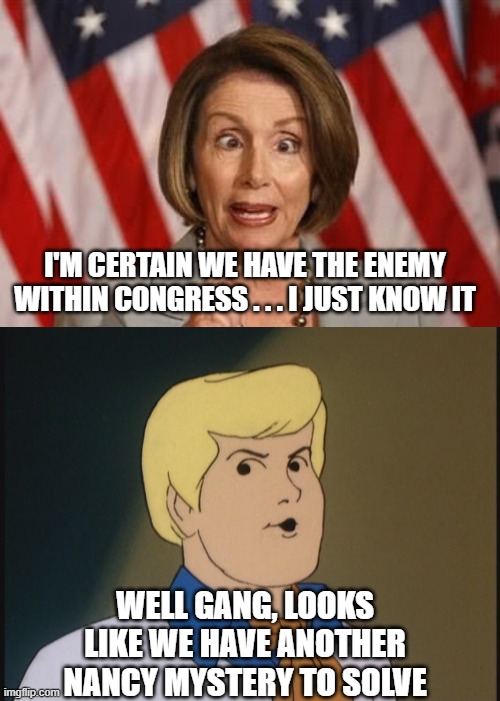 Nancy's Off her meds again | I'M CERTAIN WE HAVE THE ENEMY WITHIN CONGRESS . . . I JUST KNOW IT; WELL GANG, LOOKS LIKE WE HAVE ANOTHER NANCY MYSTERY TO SOLVE | image tagged in nancy pelosi,congress,insurection,terrorist,trump,biden | made w/ Imgflip meme maker
