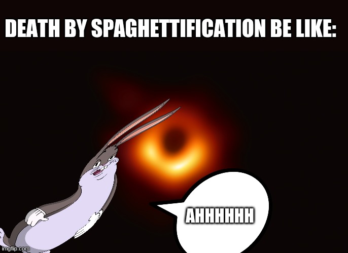 Death by Spaghettification be like: | DEATH BY SPAGHETTIFICATION BE LIKE:; AHHHHHH | image tagged in dank memes | made w/ Imgflip meme maker