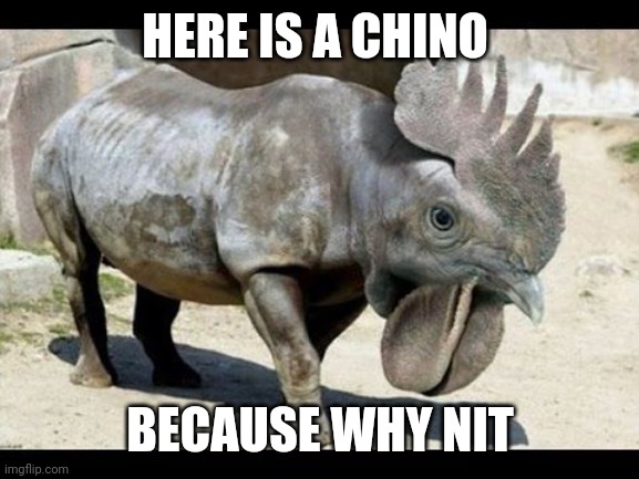 HERE IS A CHINO BECAUSE WHY NIT | made w/ Imgflip meme maker