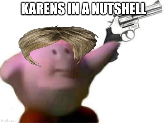 Karens will be Karens | KARENS IN A NUTSHELL | image tagged in funny | made w/ Imgflip meme maker