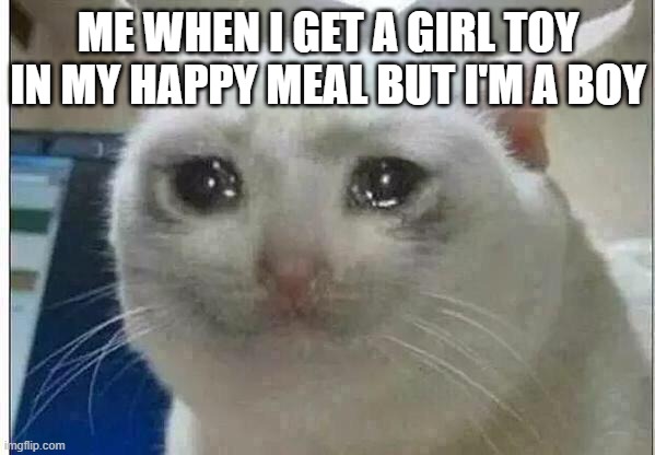 crying cat | ME WHEN I GET A GIRL TOY IN MY HAPPY MEAL BUT I'M A BOY | image tagged in crying cat | made w/ Imgflip meme maker