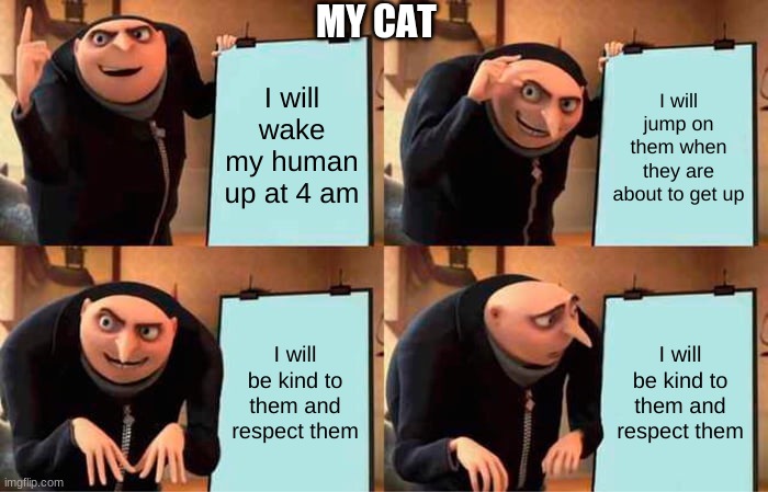 What My Cat Does | MY CAT; I will wake my human up at 4 am; I will jump on them when they are about to get up; I will be kind to them and respect them; I will be kind to them and respect them | image tagged in memes,gru's plan | made w/ Imgflip meme maker