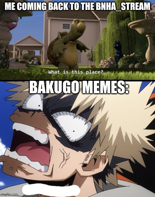 ME COMING BACK TO THE BNHA_STREAM; BAKUGO MEMES: | image tagged in what is this place,bakugo's what did you say | made w/ Imgflip meme maker