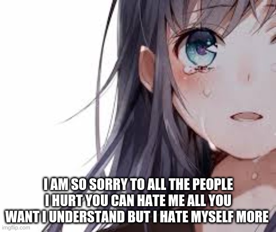 I AM SO SORRY TO ALL THE PEOPLE I HURT YOU CAN HATE ME ALL YOU WANT I UNDERSTAND BUT I HATE MYSELF MORE | made w/ Imgflip meme maker