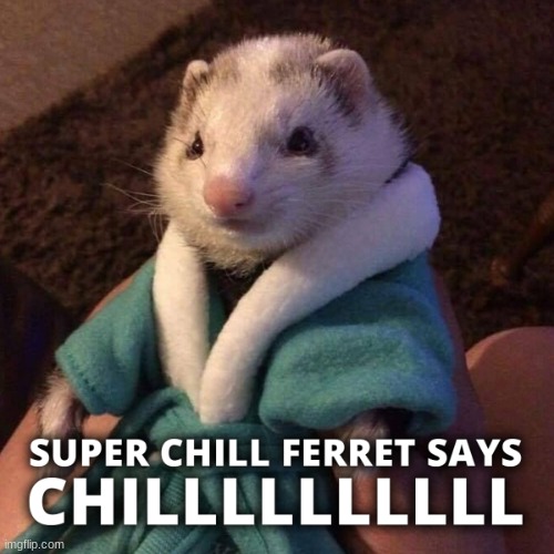 repost this to be part of the ferret empire: me, melody, drizzy | image tagged in kenneth says chilllllll | made w/ Imgflip meme maker