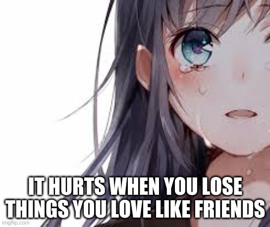 IT HURTS WHEN YOU LOSE THINGS YOU LOVE LIKE FRIENDS | made w/ Imgflip meme maker
