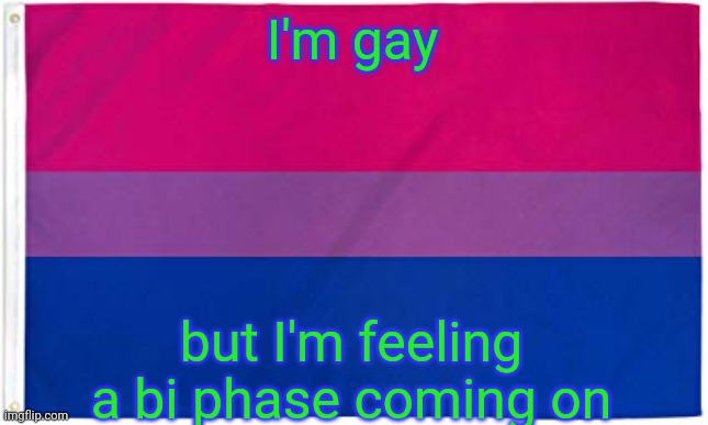 Random spurts where I like both bois and gorls instead of bois like normal | I'm gay; but I'm feeling a bi phase coming on | image tagged in bisexual flag | made w/ Imgflip meme maker