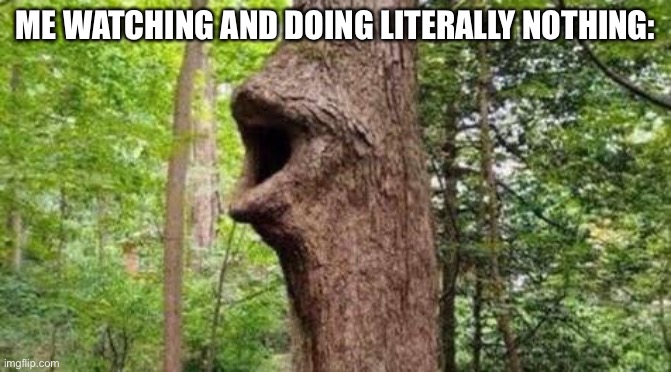 Tree pog | ME WATCHING AND DOING LITERALLY NOTHING: | image tagged in tree pog | made w/ Imgflip meme maker