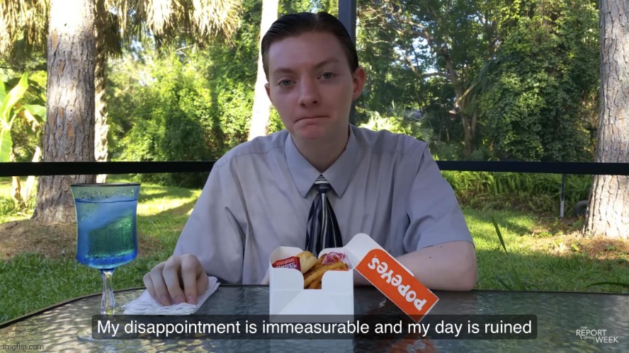 my disappointment is immeasurable and my day is ruined | image tagged in my disappointment is immeasurable and my day is ruined | made w/ Imgflip meme maker