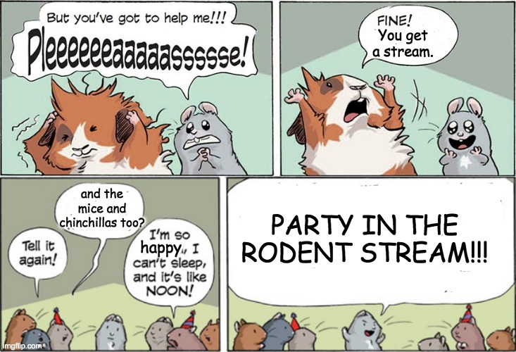 Posting it over. Cheesecake! (Credit to Venable & Yue for the original) | You get a stream. and the mice and chinchillas too? happy PARTY IN THE RODENT STREAM!!! | image tagged in cute,rodent,hamster,comics,guinea pig | made w/ Imgflip meme maker