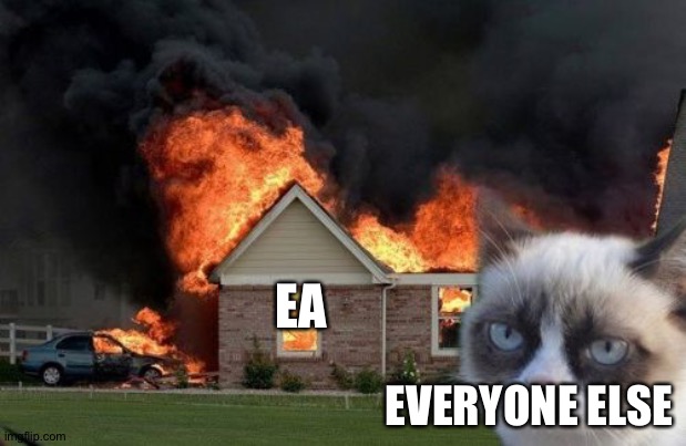 Burn Kitty Meme | EA EVERYONE ELSE | image tagged in memes,burn kitty,grumpy cat | made w/ Imgflip meme maker