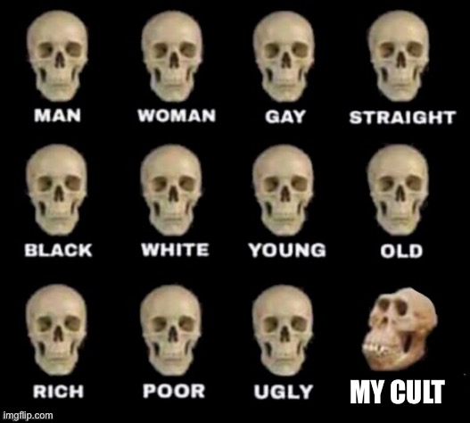 idiot skull | MY CULT | image tagged in idiot skull | made w/ Imgflip meme maker