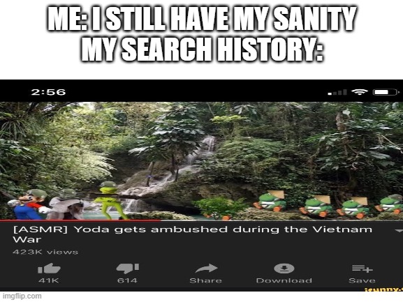 ME: I STILL HAVE MY SANITY
MY SEARCH HISTORY: | image tagged in funny | made w/ Imgflip meme maker