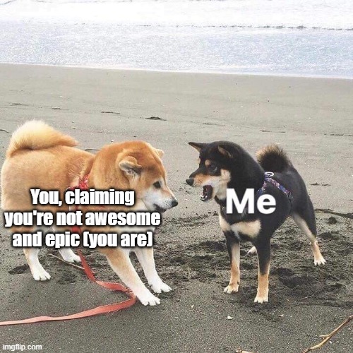 <3 | You, claiming you're not awesome and epic (you are) | image tagged in wholesome doges at the beach | made w/ Imgflip meme maker