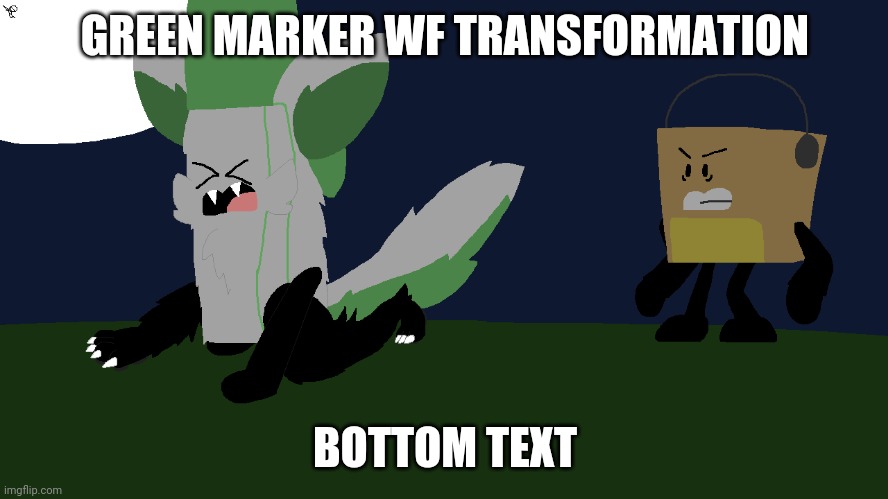 GREEN MARKER WF TRANSFORMATION; BOTTOM TEXT | image tagged in wtf | made w/ Imgflip meme maker