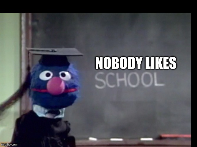 NOBODY LIKES | image tagged in grover | made w/ Imgflip meme maker
