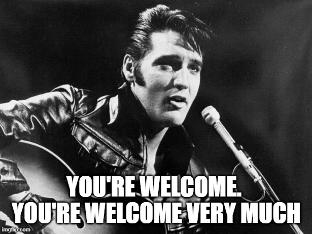 Leather Elvis | YOU'RE WELCOME.  YOU'RE WELCOME VERY MUCH | image tagged in leather elvis | made w/ Imgflip meme maker