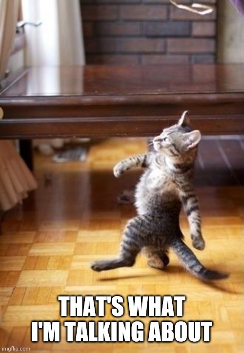 Cool Cat Stroll Meme | THAT'S WHAT I'M TALKING ABOUT | image tagged in memes,cool cat stroll | made w/ Imgflip meme maker