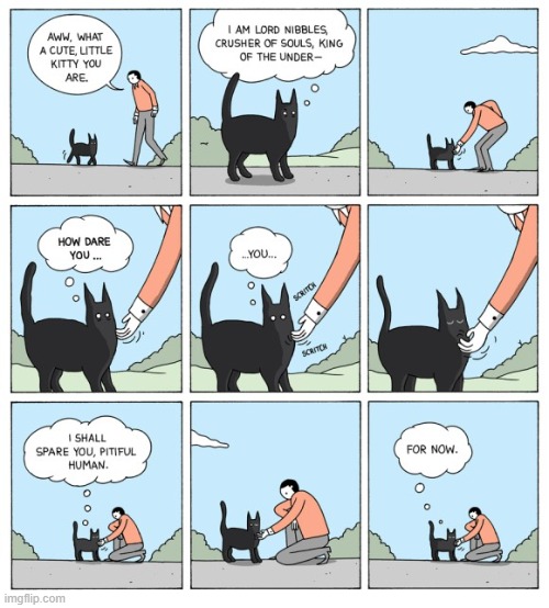 You just bought yourself another day human... | image tagged in comics,comics/cartoons,cats | made w/ Imgflip meme maker