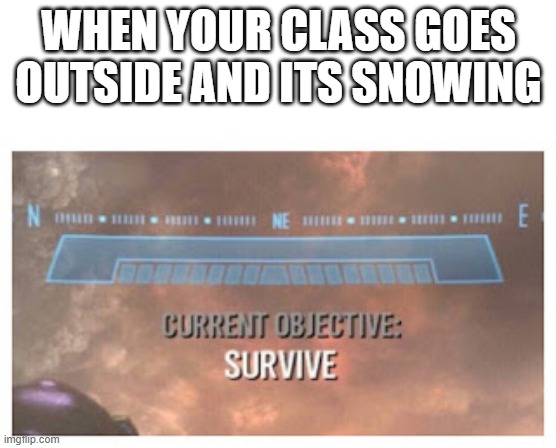 i would like to thank my friend for the idea of this meme | WHEN YOUR CLASS GOES OUTSIDE AND ITS SNOWING | image tagged in current objective survive,snow,snow day,class,survival | made w/ Imgflip meme maker