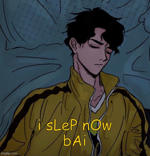 i sLeP nOw
bAi | made w/ Imgflip meme maker