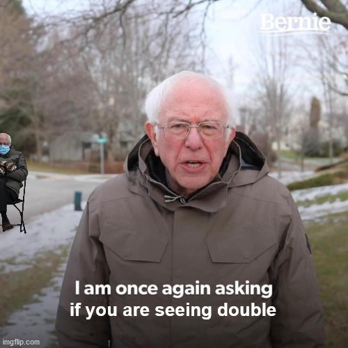 Bernie I Am Once Again Asking For Your Support Meme | if you are seeing double | image tagged in memes,bernie i am once again asking for your support | made w/ Imgflip meme maker