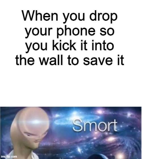 wizdum | When you drop your phone so you kick it into the wall to save it | image tagged in blank white template,meme man smort | made w/ Imgflip meme maker