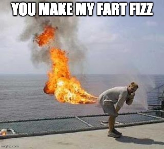 Fart | YOU MAKE MY FART FIZZ | image tagged in fart | made w/ Imgflip meme maker