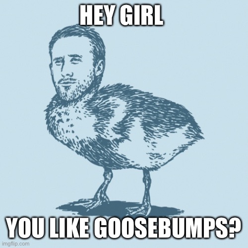 Ryan “BabyGoose” | HEY GIRL; YOU LIKE GOOSEBUMPS? | image tagged in ryan gosling,goosebumps,baby goose,gosling | made w/ Imgflip meme maker