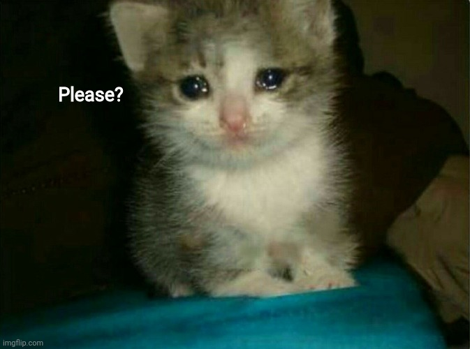 Sad cat please Blank Meme Template