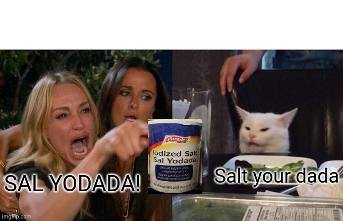 Woman Yelling At Cat Meme | Salt your dada; SAL YODADA! | image tagged in memes,woman yelling at cat,salyodada | made w/ Imgflip meme maker