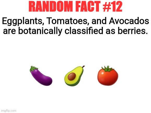 Random Fact #12 | RANDOM FACT #12; Eggplants, Tomatoes, and Avocados are botanically classified as berries. 🍆   🥑   🍅 | image tagged in blank white template,random fact,memes,fun | made w/ Imgflip meme maker