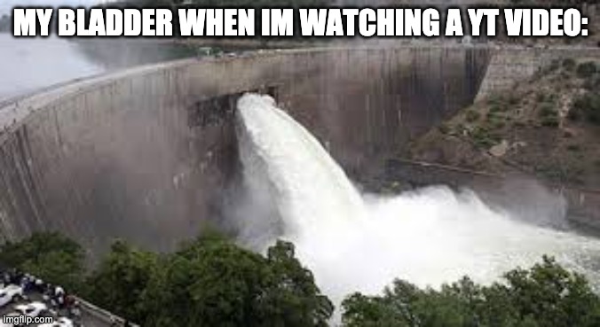 Relatable | MY BLADDER WHEN IM WATCHING A YT VIDEO: | image tagged in relatable | made w/ Imgflip meme maker