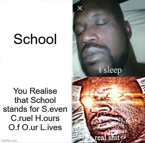 Sleeping Shaq Meme | School; You Realise that School stands for S.even C.ruel H.ours O.f O.ur L.ives | image tagged in memes,sleeping shaq | made w/ Imgflip meme maker