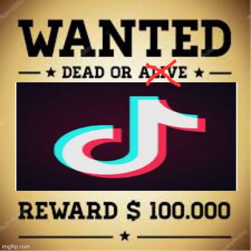 Wanted: Tik Tok | image tagged in wanted dead or alive,funny | made w/ Imgflip meme maker