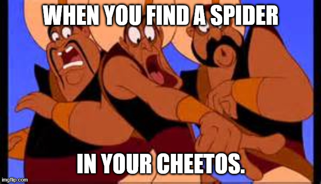 Aladdin | WHEN YOU FIND A SPIDER; IN YOUR CHEETOS. | image tagged in aladdin | made w/ Imgflip meme maker