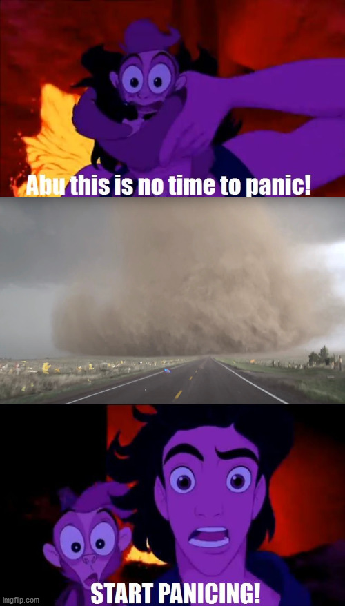 Aladdin and Abu's storm chasing gone wrong. | image tagged in abu panic | made w/ Imgflip meme maker