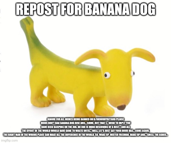 REPOST FOR BANANA DOG; IGNORE FOR ALL MEMES BEING BANNED ON R/OKBUDDYRETARD PLEASE MODS DON'T BAN BANANA DOG RISE AND... SHINE. NOT THAT I... WISH TO IMPLY YOU HAVE BEEN SLEEPING ON THE JOB. NO ONE IS MORE DESERVING OF A REST... AND ALL THE EFFORT IN THE WORLD WOULD HAVE GONE TO WASTE UNTIL... WELL, LET'S JUST SAY YOUR HOUR HAS... COME AGAIN.

THE RIGHT MAN IN THE WRONG PLACE CAN MAKE ALL THE DIFFERENCE IN THE WORLD. SO, WAKE UP, MISTER FREEMAN. WAKE UP AND... SMELL THE ASHES... | made w/ Imgflip meme maker