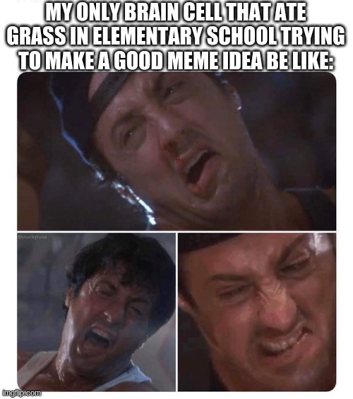 Stallone struggle | MY ONLY BRAIN CELL THAT ATE GRASS IN ELEMENTARY SCHOOL TRYING TO MAKE A GOOD MEME IDEA BE LIKE: | image tagged in stallone struggle | made w/ Imgflip meme maker